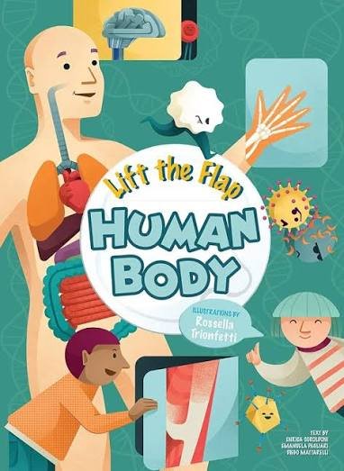 LIFT THE FLAP HUMAN BODY